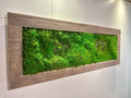 Moss Picture in Brown Wooden Frame (90x32cm)
