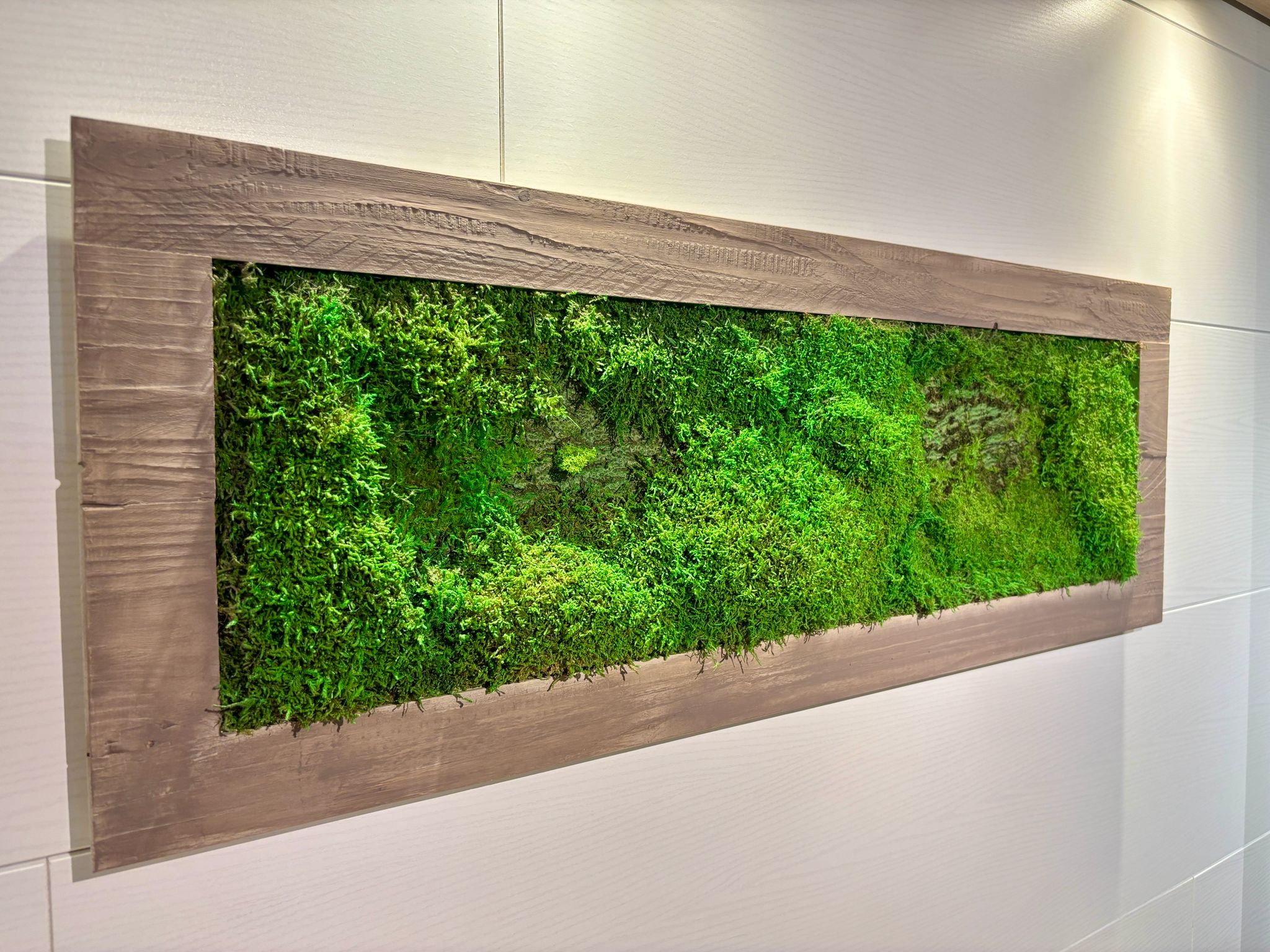 Moss Picture in Brown Wooden Frame (90x32cm)