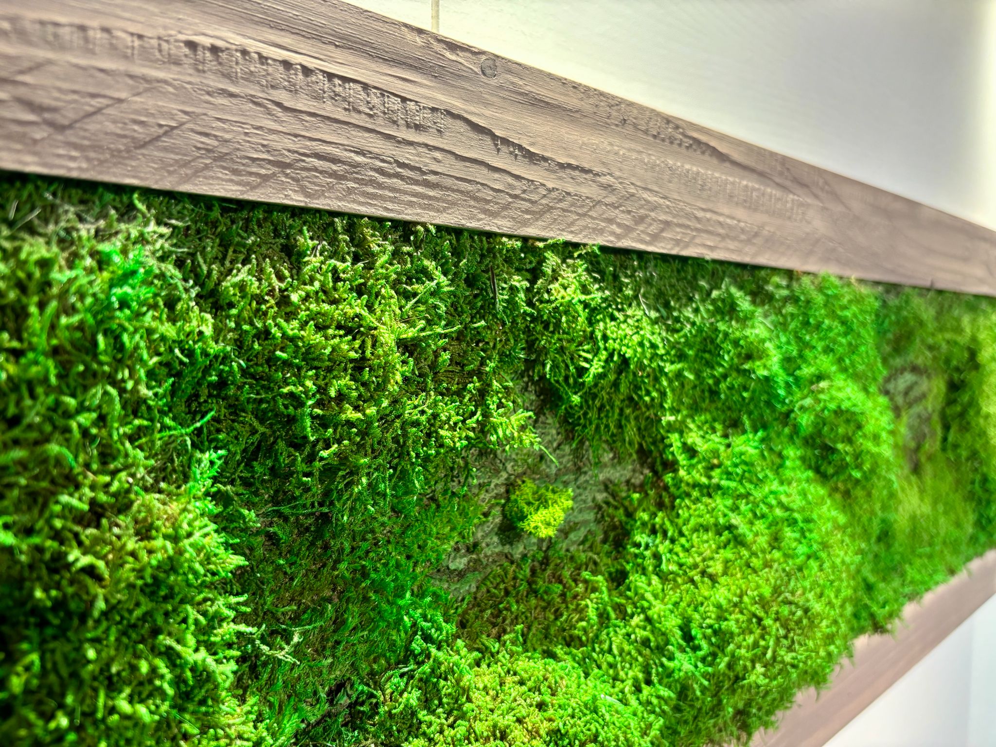 Moss Picture in Brown Wooden Frame (90x32cm)