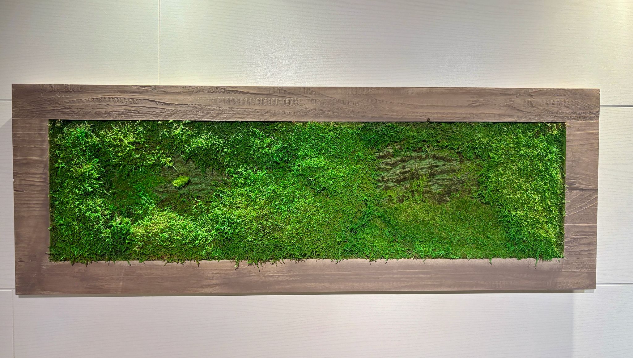 Moss Picture in Brown Wooden Frame (90x32cm)