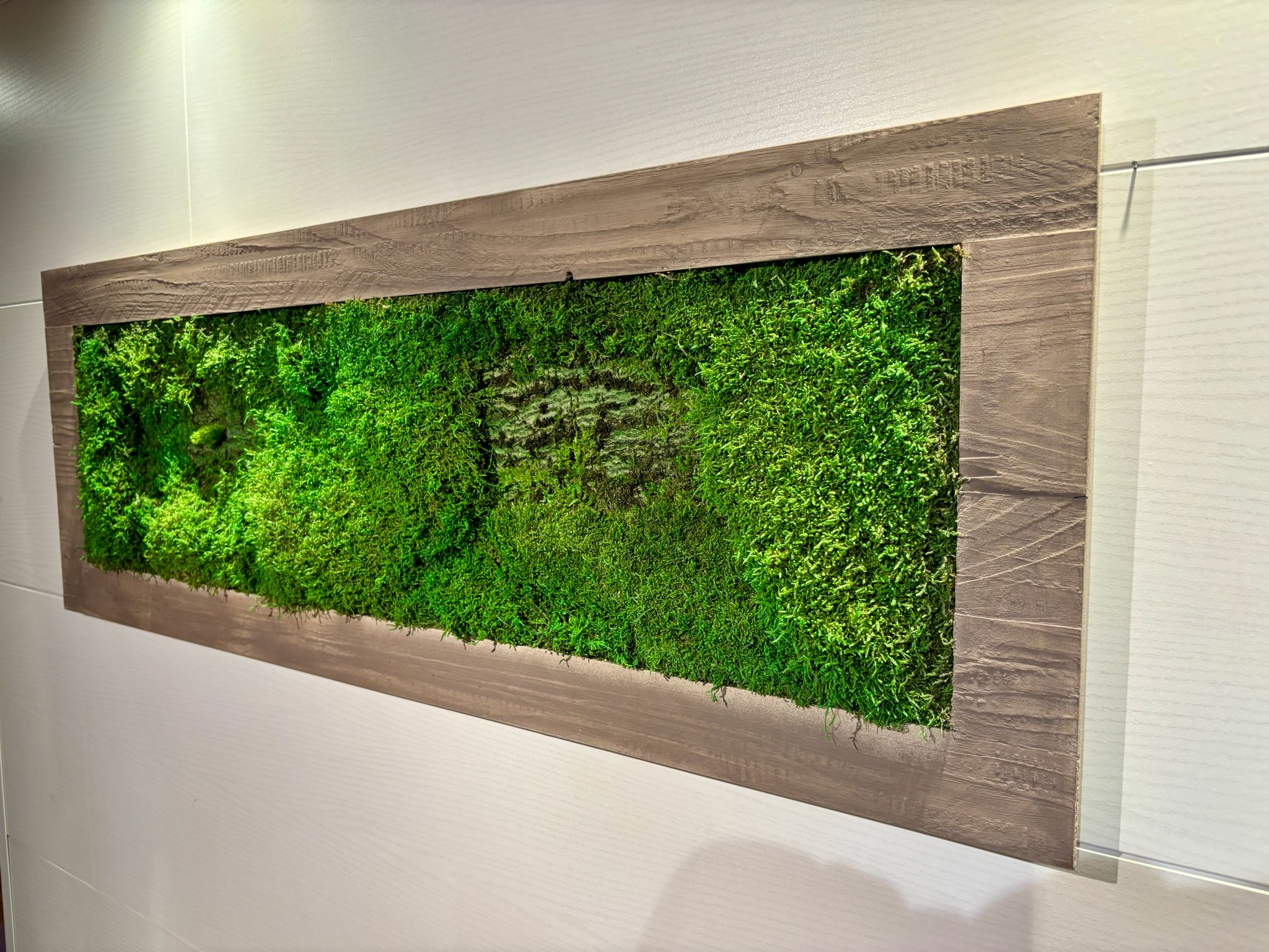 Moss Picture in Brown Wooden Frame (90x32cm)