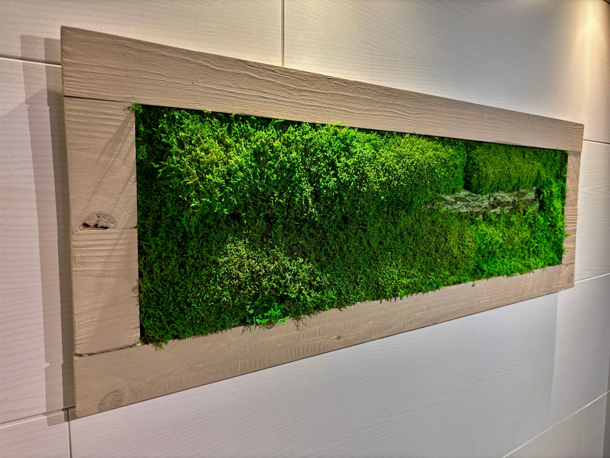 Moss Picture in Beige Wooden Frame (90x32cm)