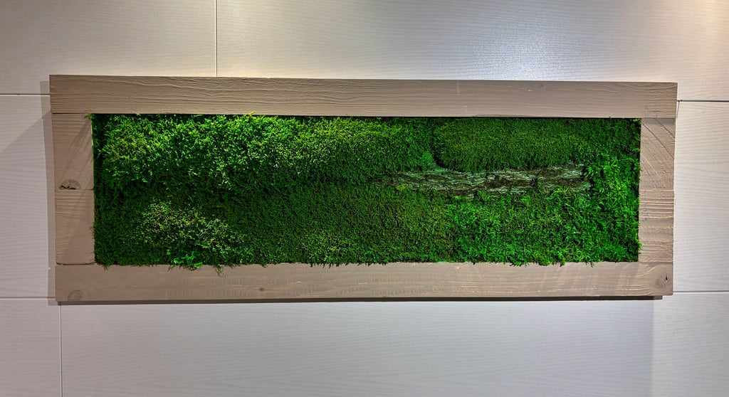 Moss Picture in Beige Wooden Frame (90x32cm)