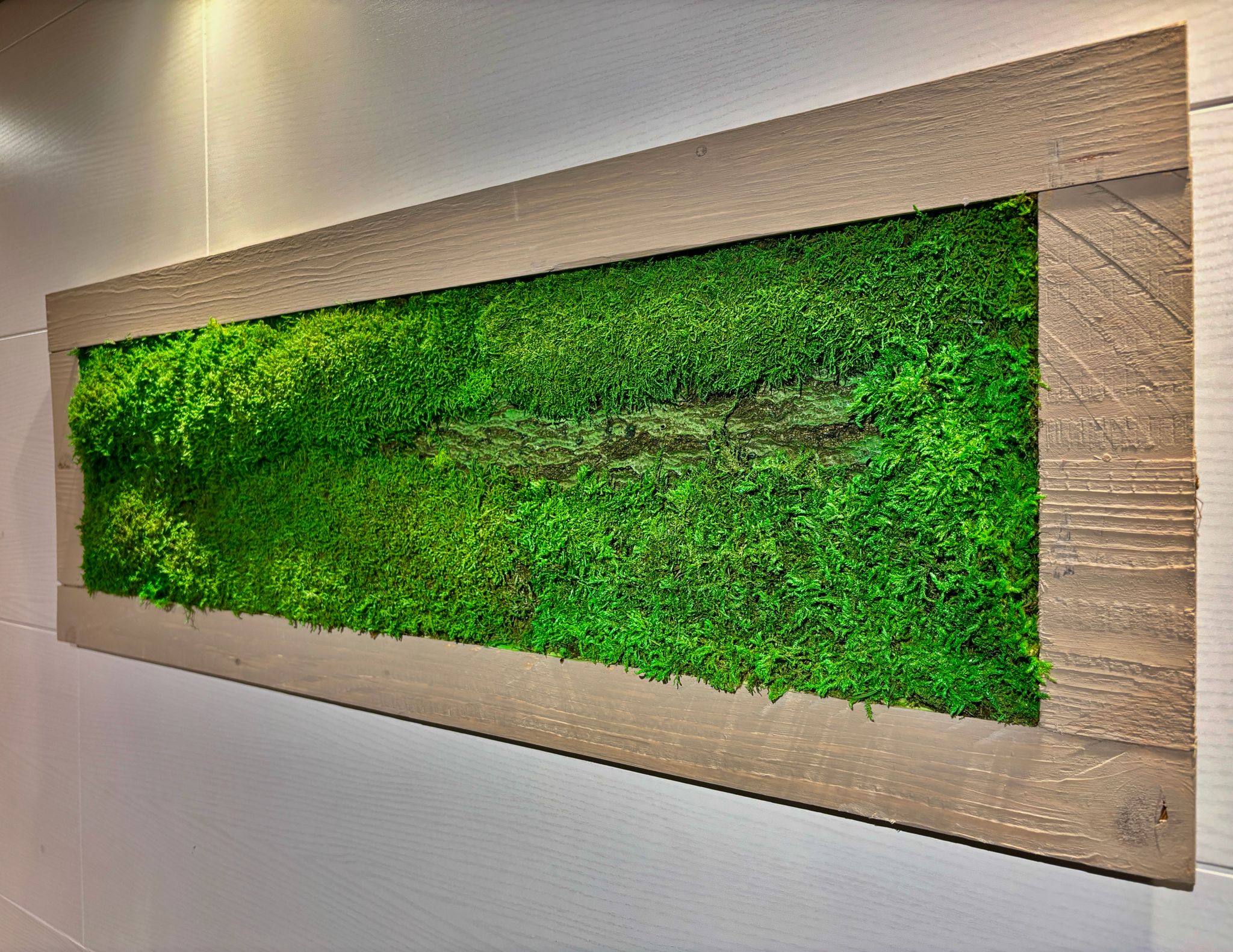 Moss Picture in Beige Wooden Frame (90x32cm)