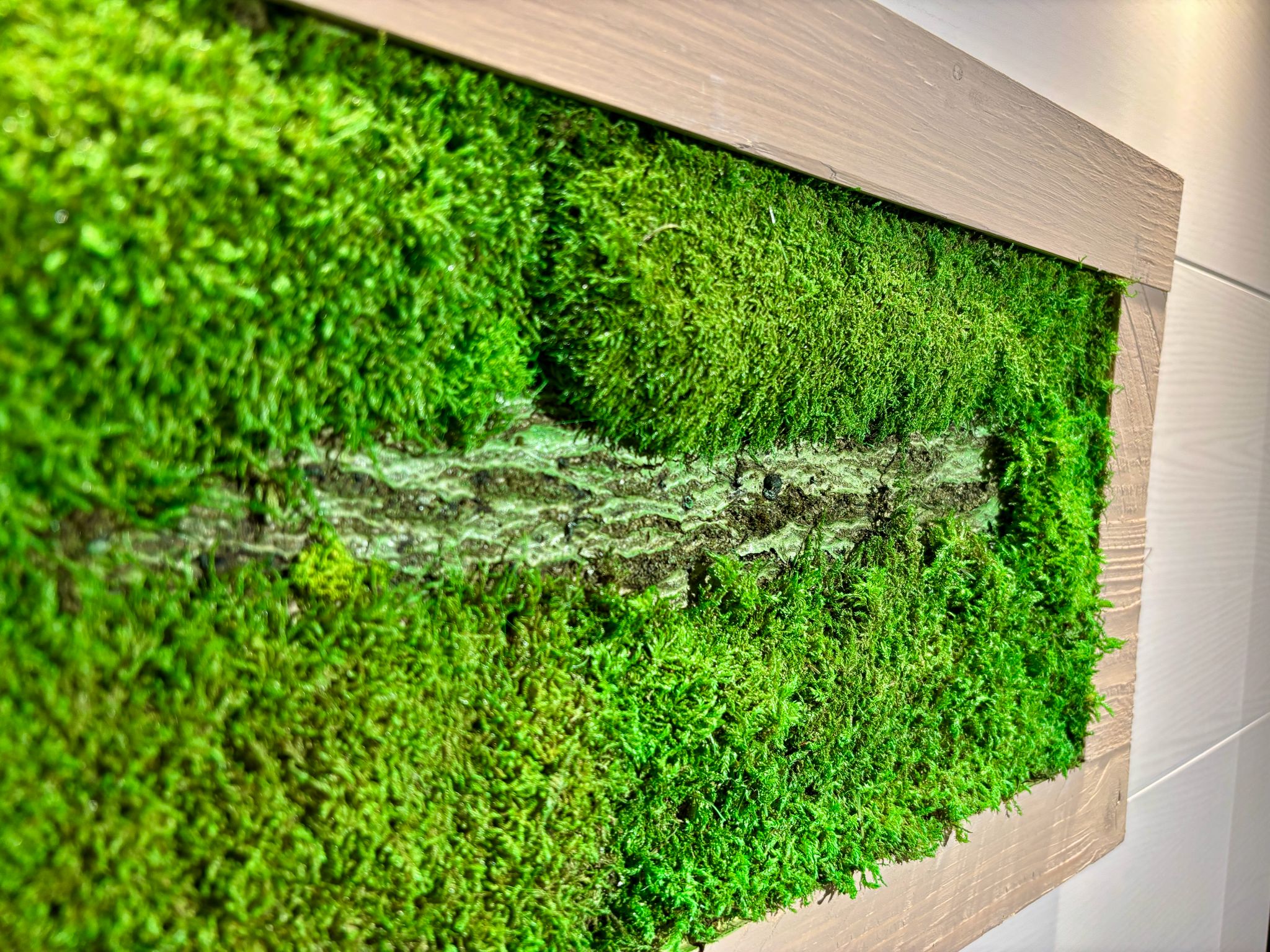 Moss Picture in Beige Wooden Frame (90x32cm)