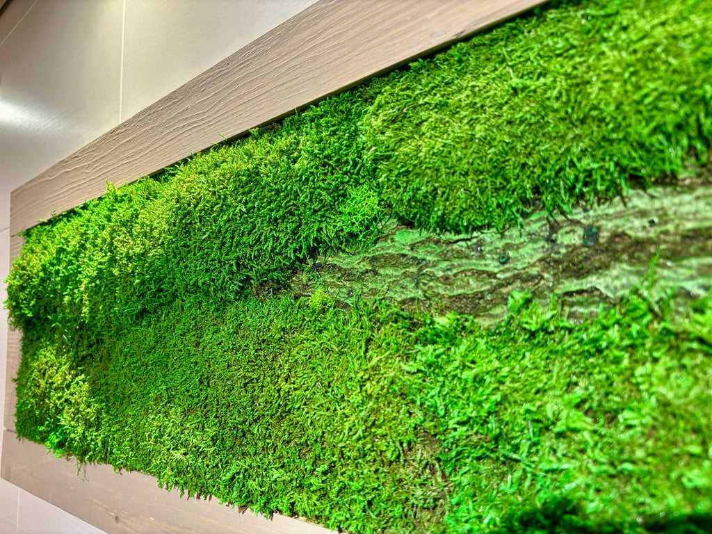Moss Picture in Beige Wooden Frame (90x32cm)