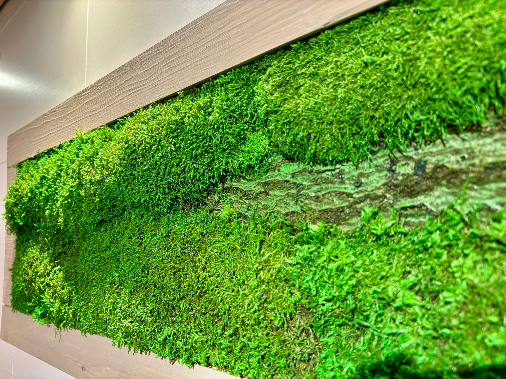 Moss Picture in Beige Wooden Frame (90x32cm)