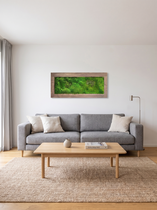 Moss Picture in Brown Wooden Frame (90x32cm)